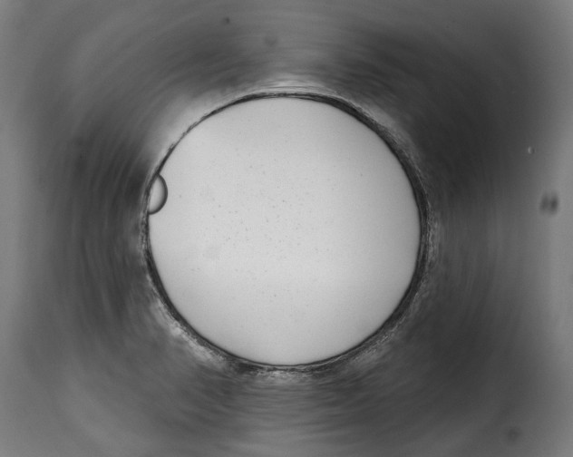 X0000115011374200911231217
