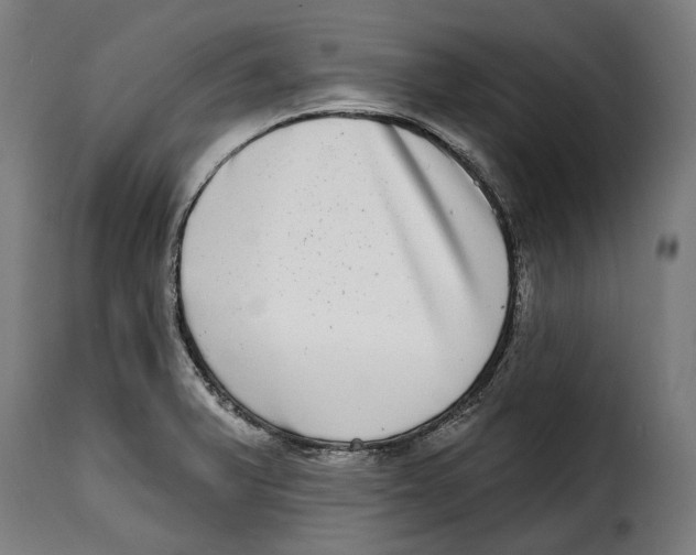 X0000115011375200911231217