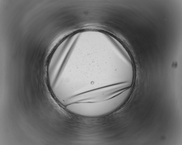 X0000115011376200911231217