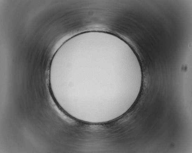 X0000115011383200911231217