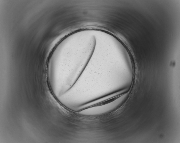 X0000115011384200911231217