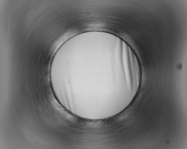 X0000115011386200911231217