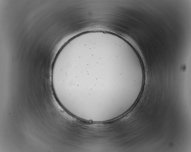 X0000115011388200911231217