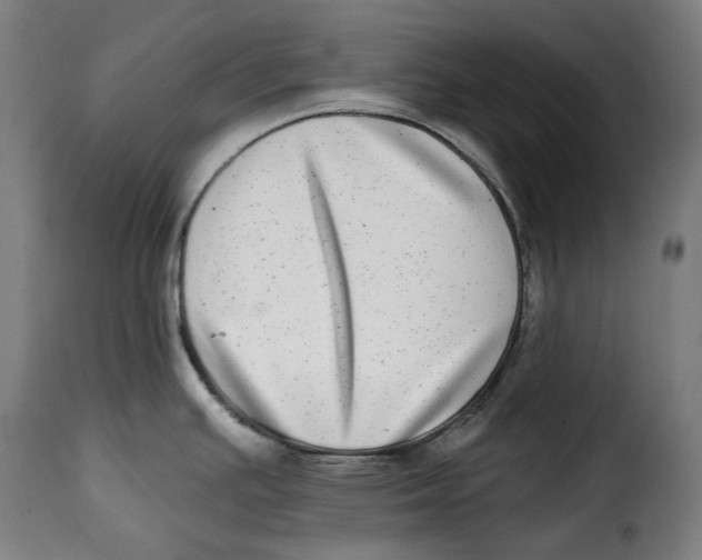 X0000115011391200911231217