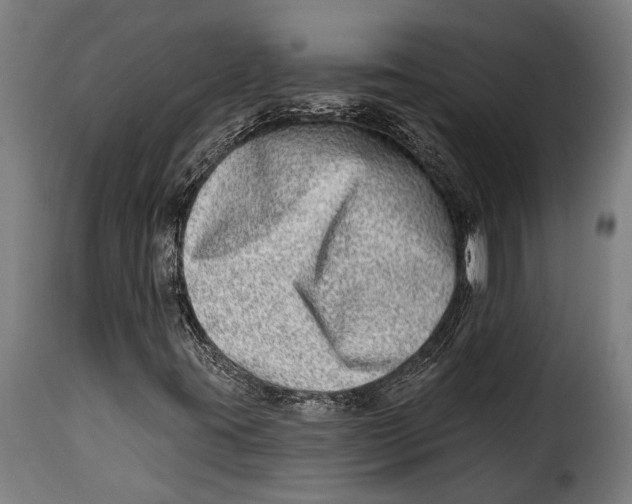 X0000115011395200911231216