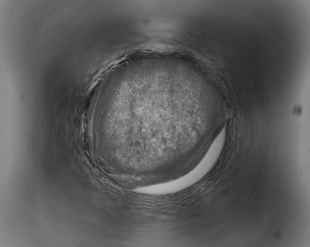 X0000115011397200911231216