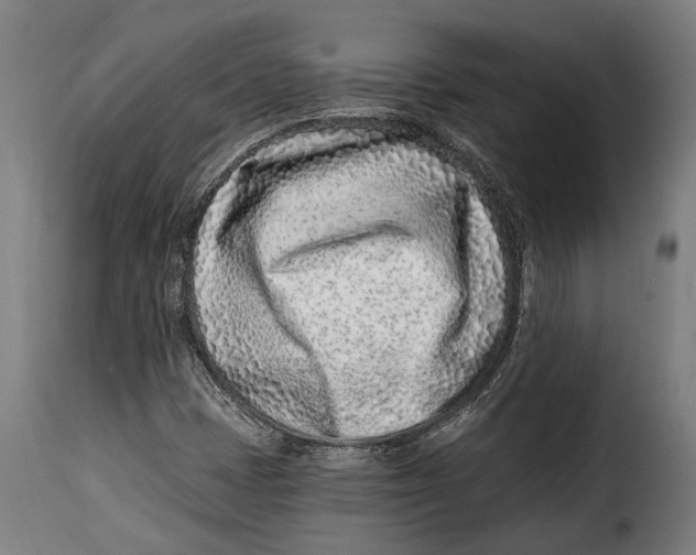 X0000115011401200911231217