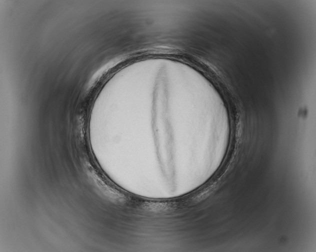 X0000115011402200911231217