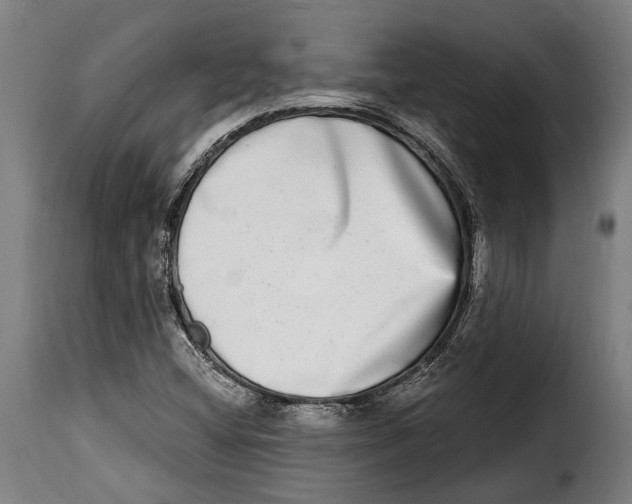 X0000115011404200911231217