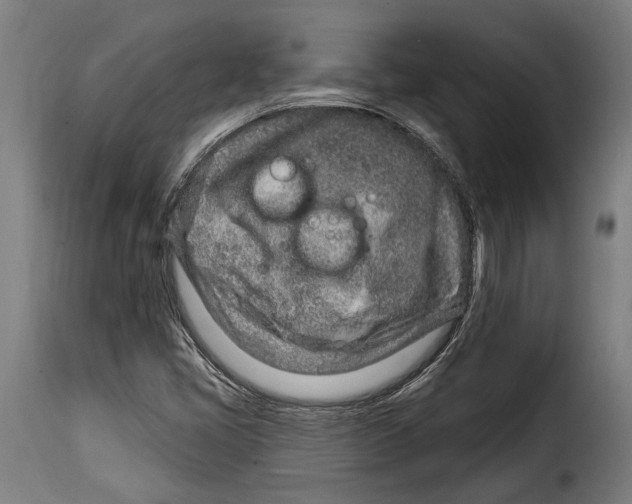X0000115011405200911231217