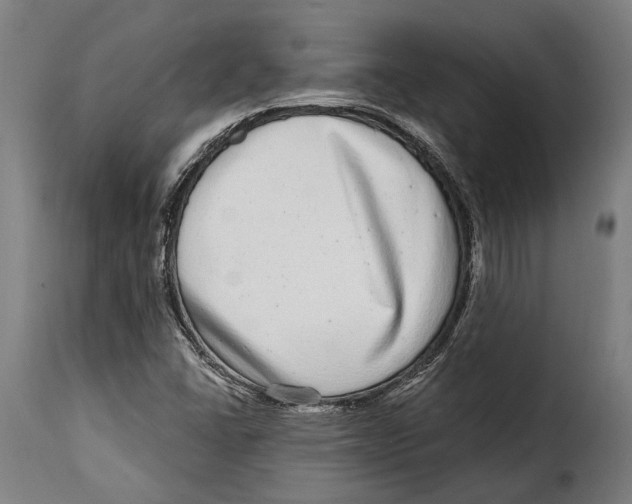 X0000115011406200911231217