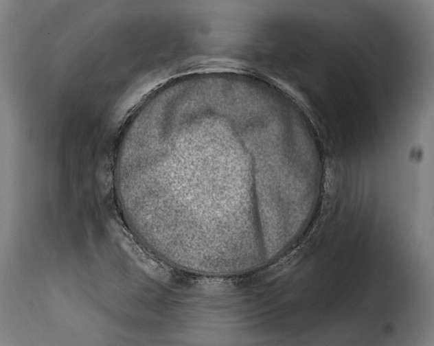 X0000115011407200911231217