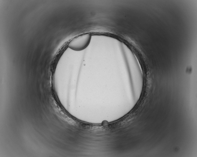 X0000115011408200911231217