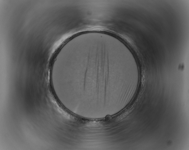 X0000115011414200911231217