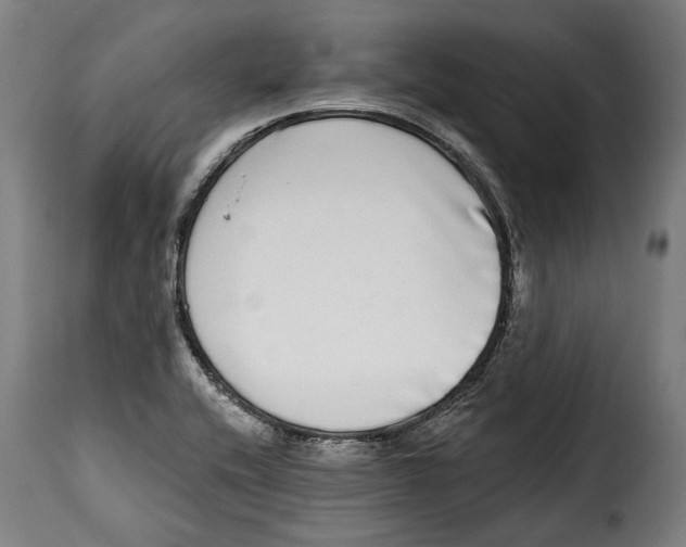 X0000115011416200911231217