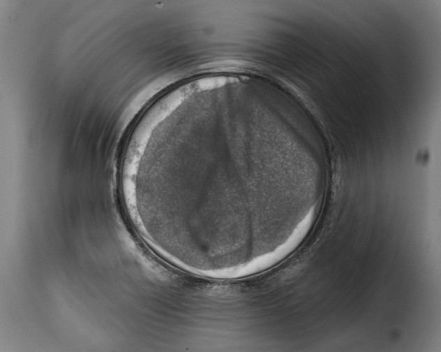 X0000115011418200911231217