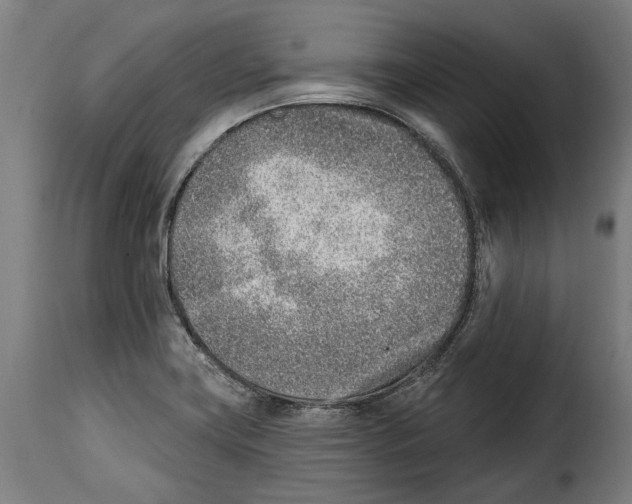 X0000115011419200911231217