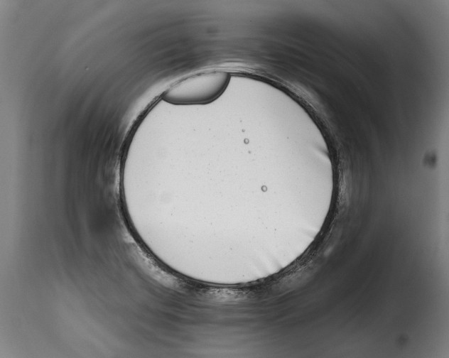 X0000115011420200911231217