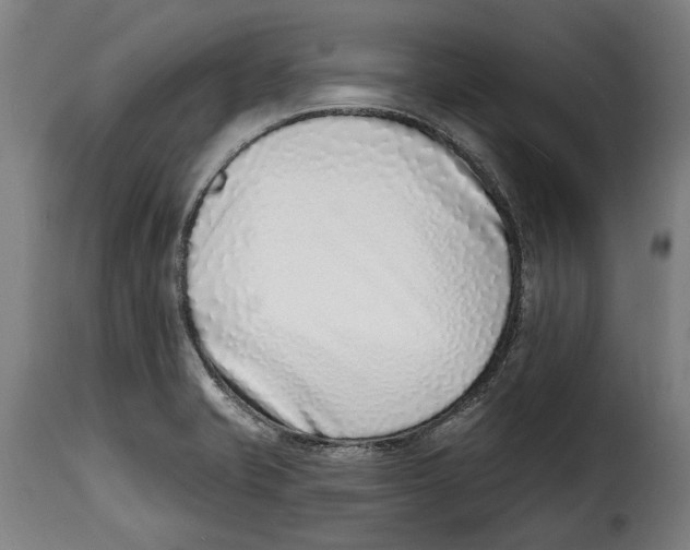 X0000115011421200911231217