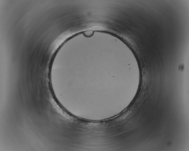 X0000115011422200911231217