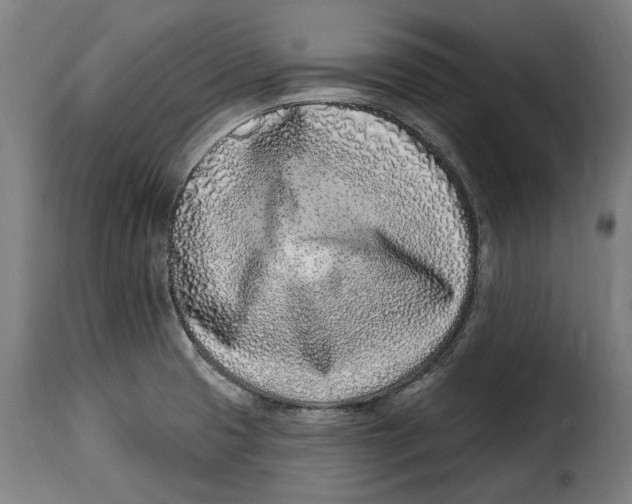 X0000115011425200911231217