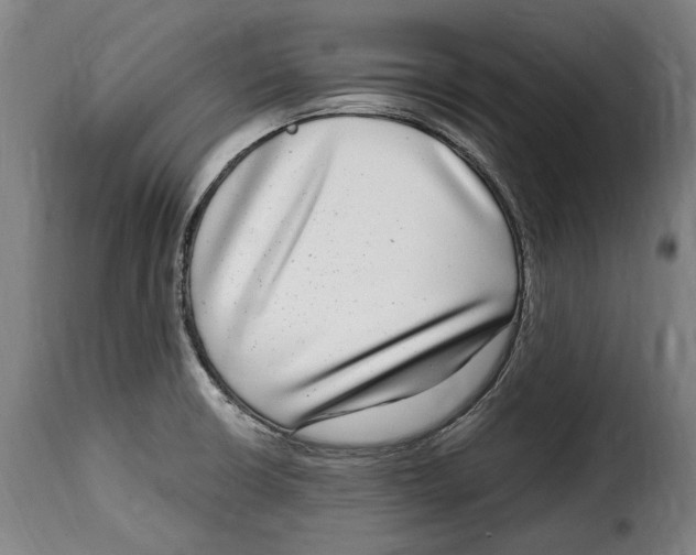 X0000115011426200911231217