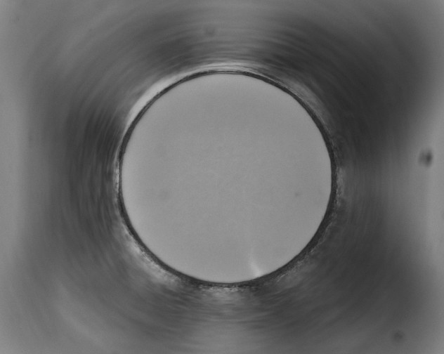 X0000115011428200911231217