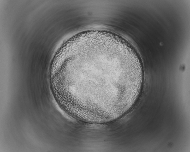 X0000115011429200911231217