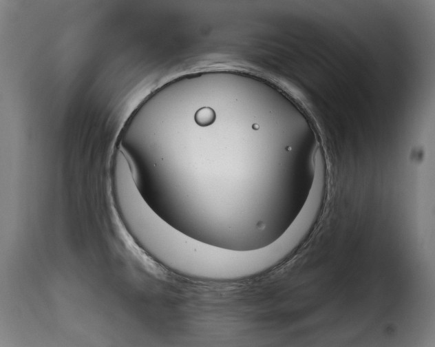 X0000115011431200911231217