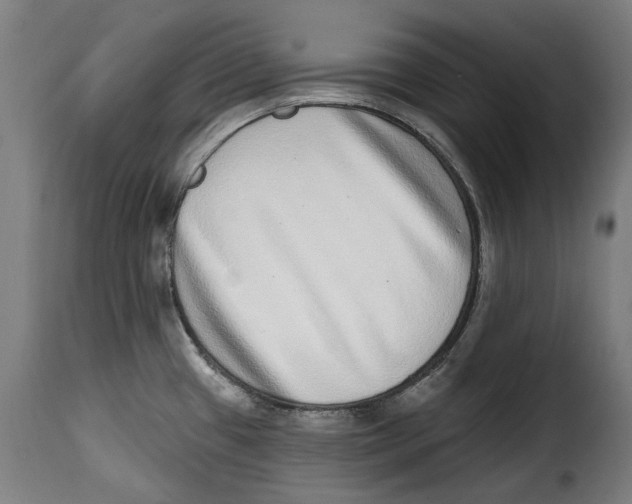 X0000115011433200911231217