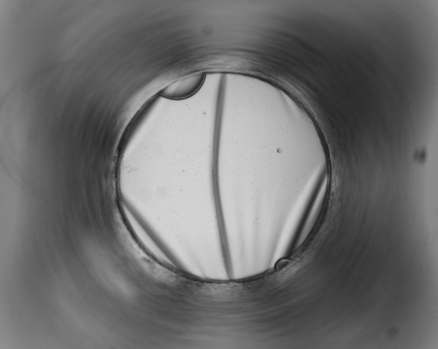 X0000115011434200911231217