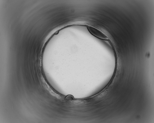 X0000115011436200911231217