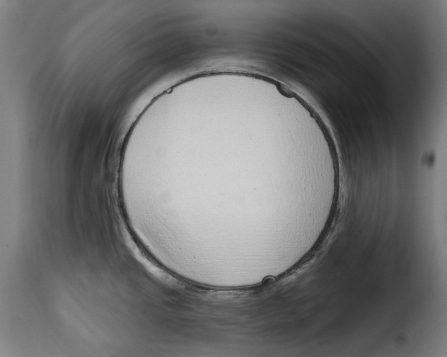 X0000115011437200911231217