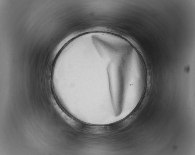 X0000115011438200911231217