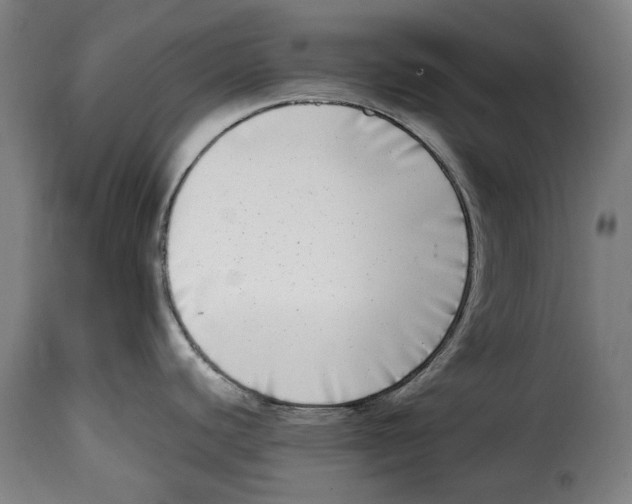 X0000115011440200911231217
