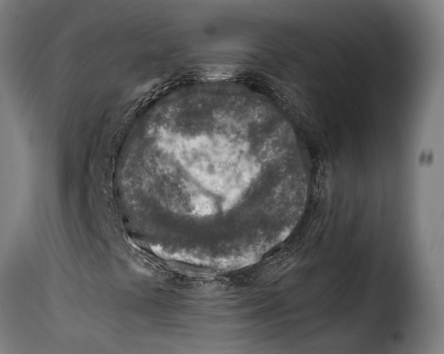 X0000115011441200911231216