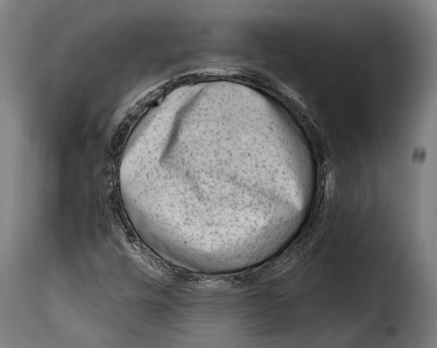 X0000115011448200911231216