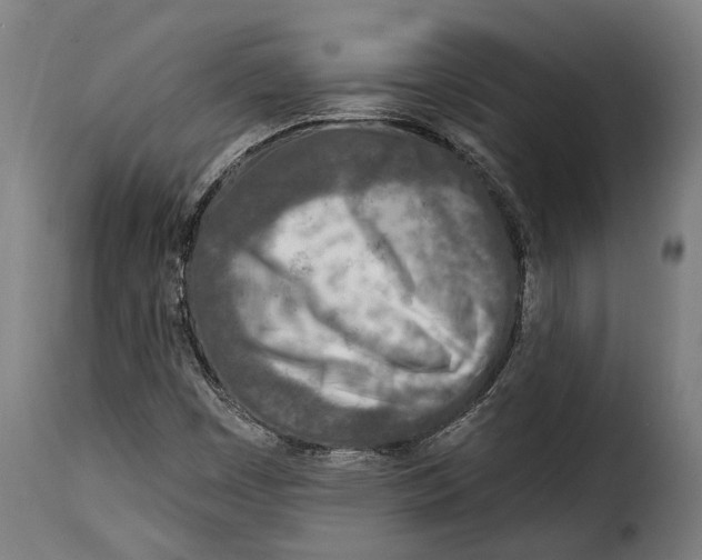 X0000115011449200911231216