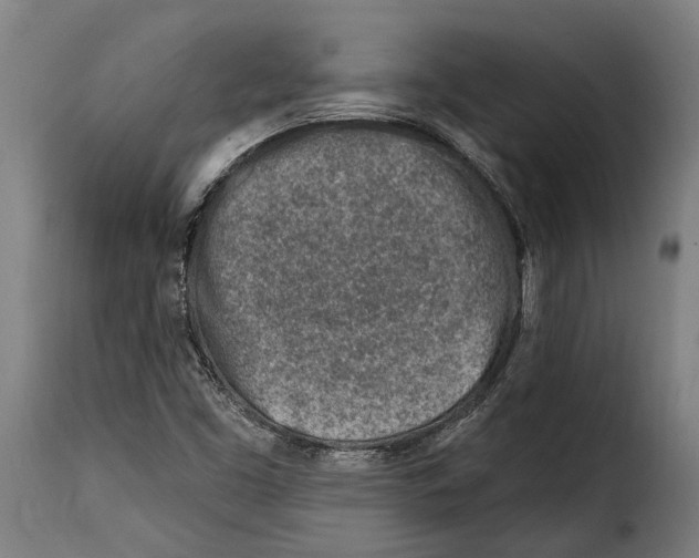 X0000115011453200911231216