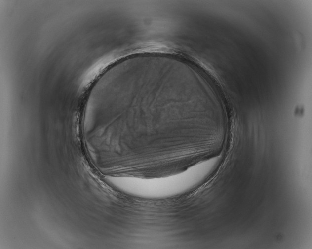X0000115011455200911231216