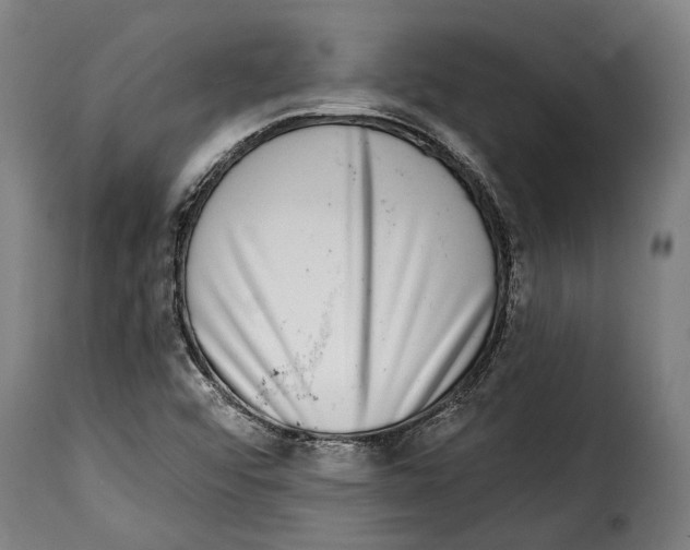 X0000115011456200911231216