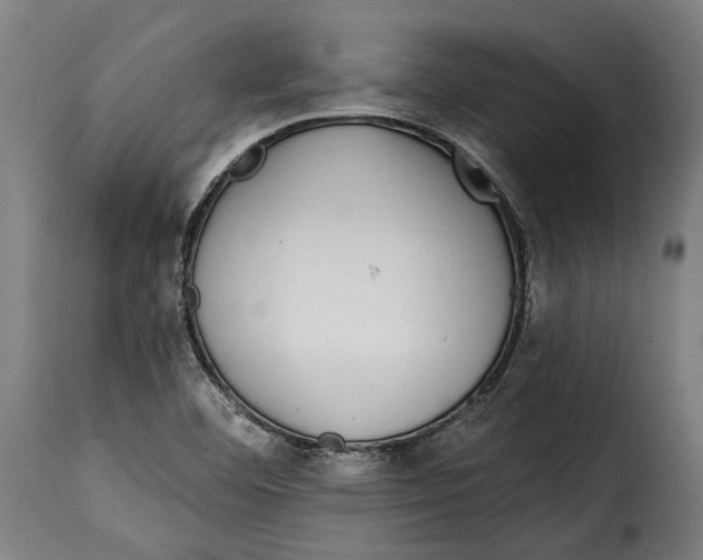 X0000115011460200911231216