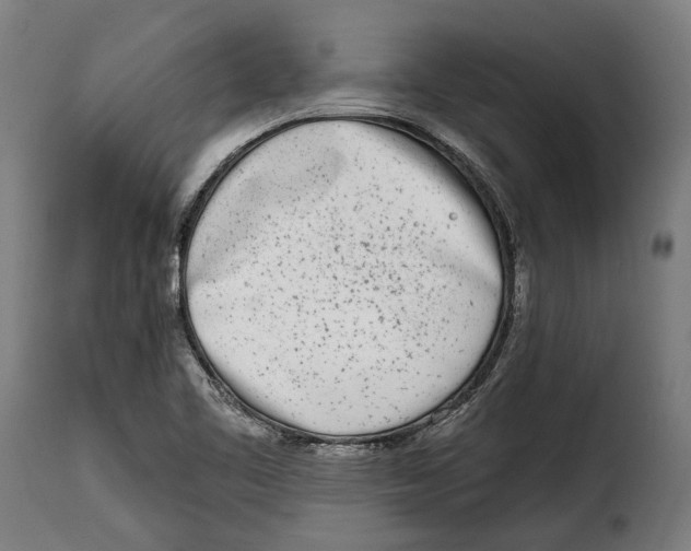 X0000115011461200911231216