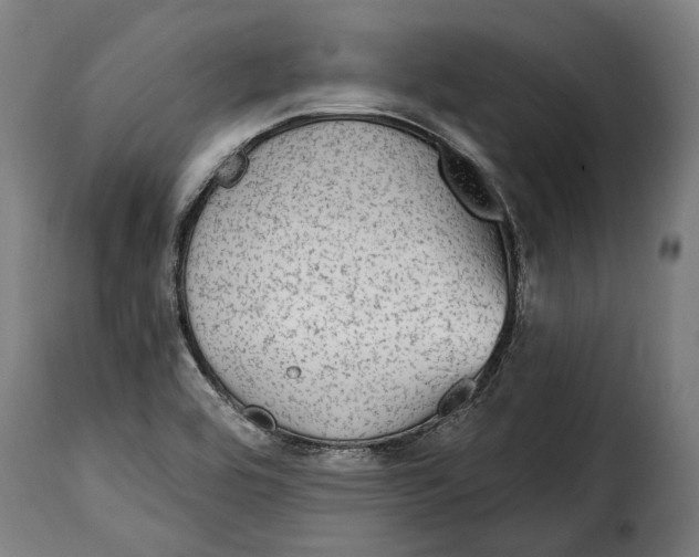X0000115011464200911231216