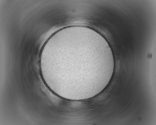 X0000115011470200911231216