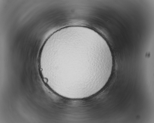 X0000115011471200911231216