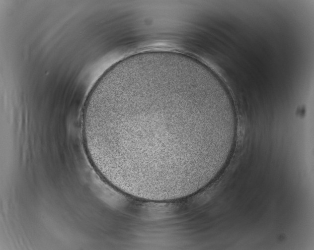 X0000115011474200911231216