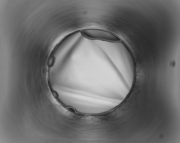X0000115011476200911231216