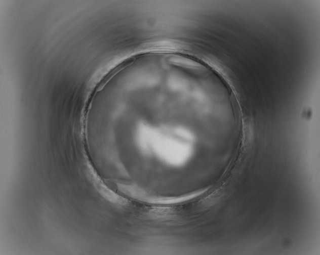 X0000115011477200911231216