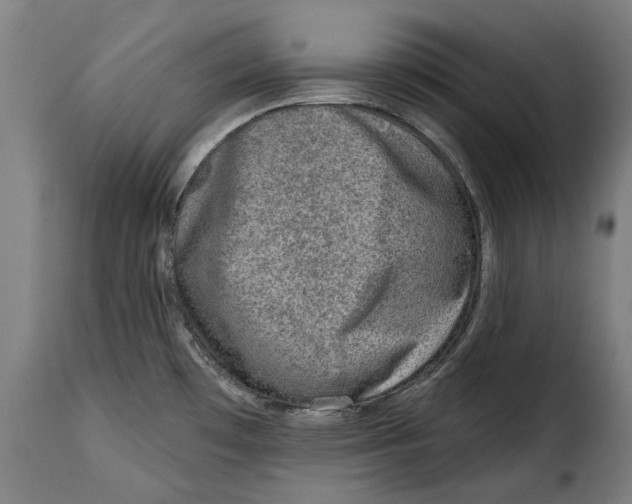 X0000115011481200911231216